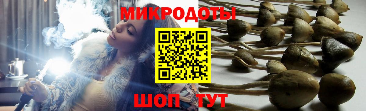 Галлюциногенные грибы GOLDEN TEACHER  Вход с VPN  Холмск  Псилоцибиновые грибы Psilocybe 